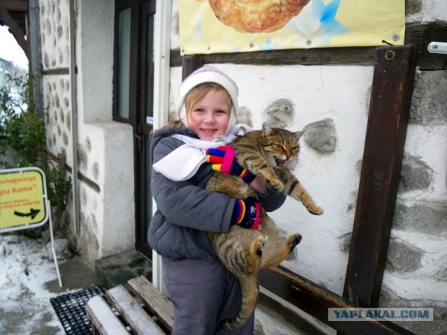 Баю-баюшки-баю