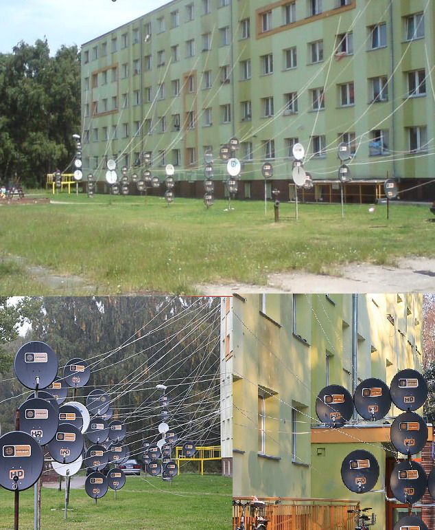 Весёлые картинки