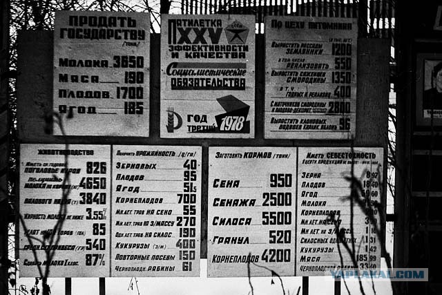 15 причин вернуть наши 70-е