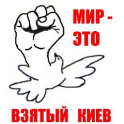 ВСУ начали обстрелы по всей линии фронта