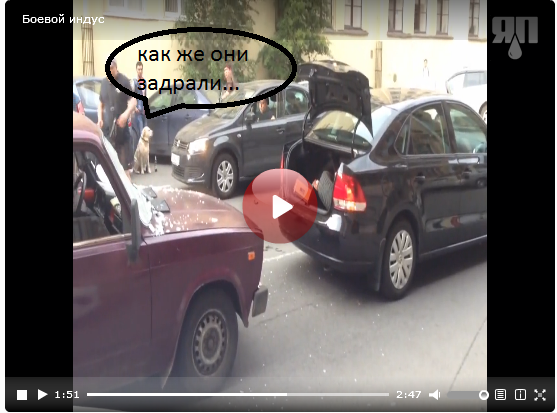 Боевой индус