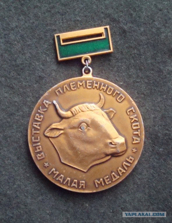 Как вести себя в Таиланде,