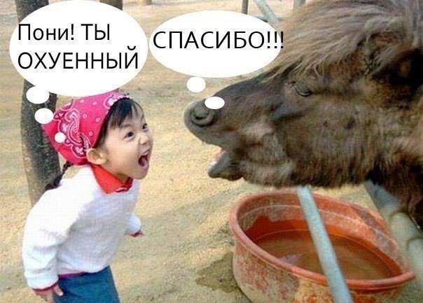 Картинки + гифки.