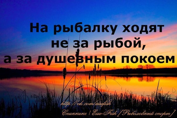 Неудачная рыбалка или нет худа без добра