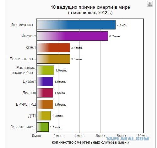 Я не веган!