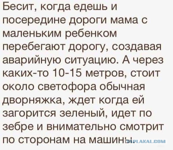 Немного юмора, заимствованного из сети