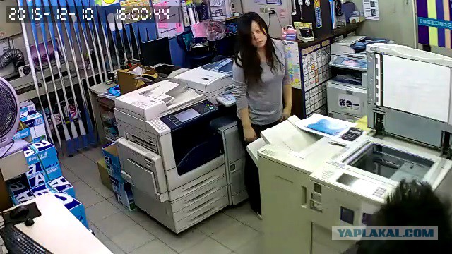 За что я люблю китайцев