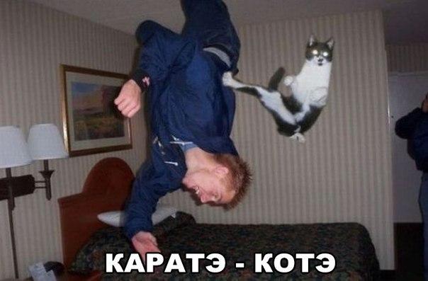 Картинки разные 2
