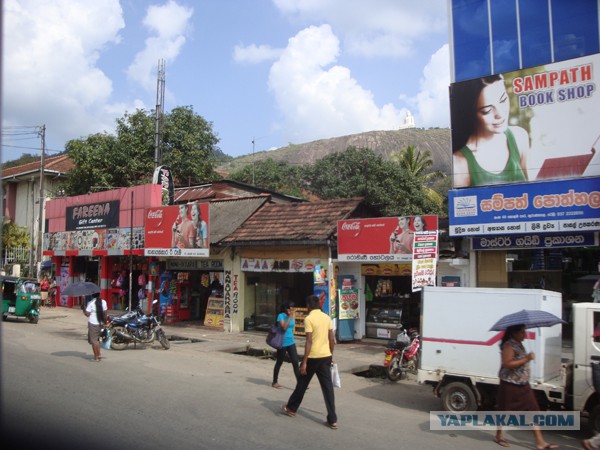 Самостоятельное путешествие в Шри-Ланку