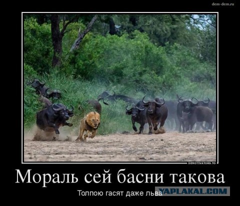 Как побить боксера и каратиста на улице:советы инструктора спецназа