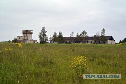 Про армейское питание. Военные инженеры