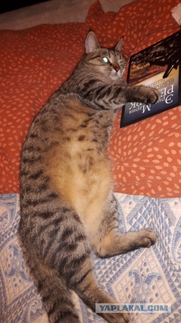 Те, которым мы помогли.