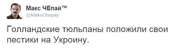 СМИ: 64% голландцев высказались против ассоциации Украины с ЕС