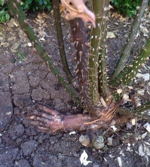 Подборка интересных и веселых картинок