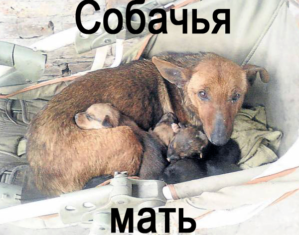 Капитан Очевидность всегда на страже!