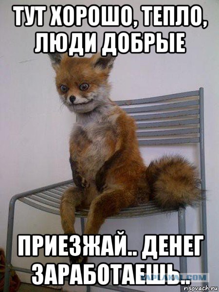 Может кто работал в Москве стикеровщиком?