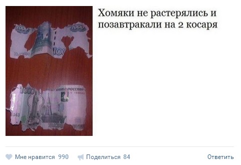 Ужасы и приколы из соцсетей 18+