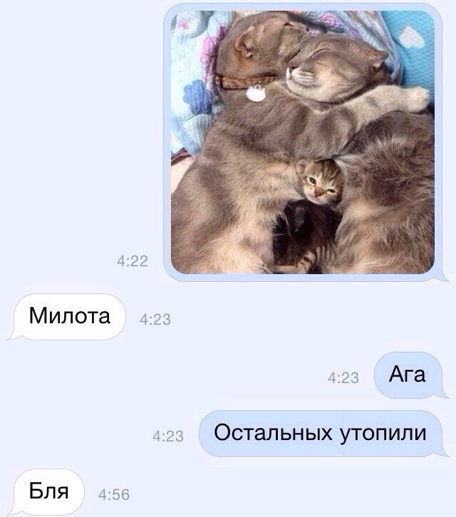 Смешные комментарии из социальных сетей 30.09.2016