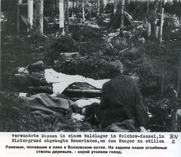 Волховский фронт. 1942. Взгляд с той стороны.