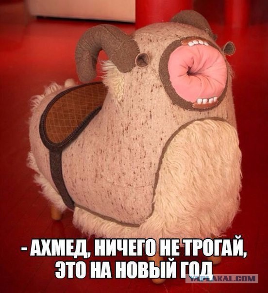 Подборка картинок