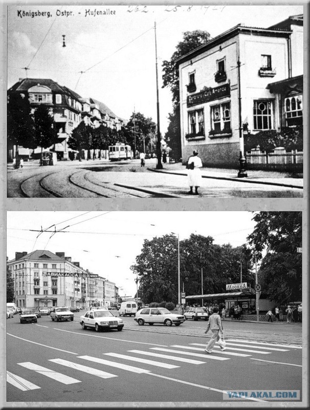 Калининград
