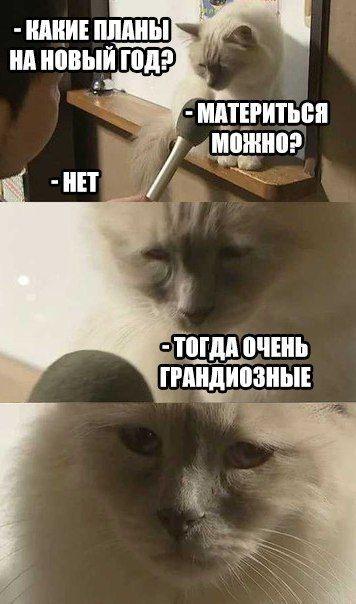 Подборка интересных и веселых картинок