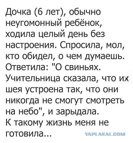 Ученые установили, где хранятся мысли