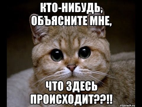 Ошалевший обочечник. Приморье