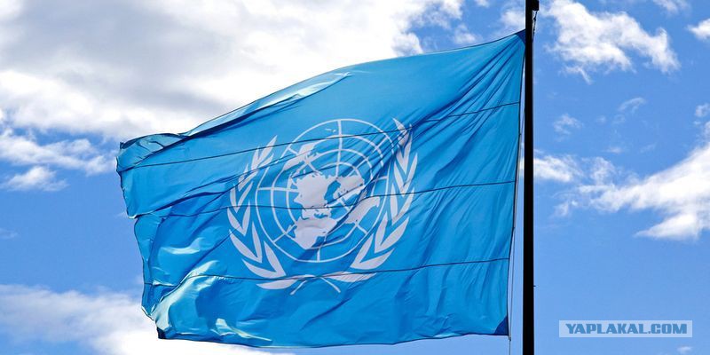 24 Октября День Организации Объединенных Наций Картинки