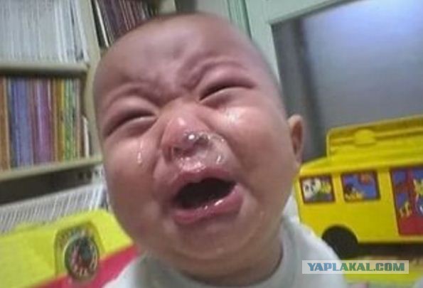 СтопХамСПб - Реклама стоит миллион