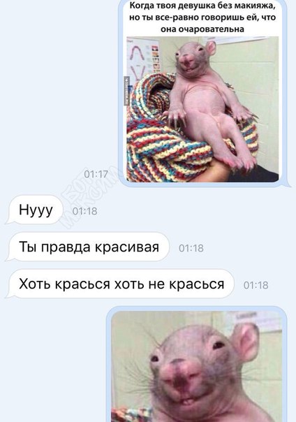 Записки сумасшедшего школьника