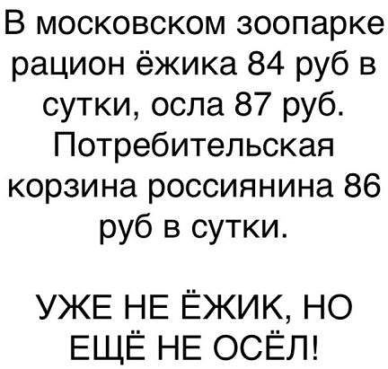 Подборка интересных и веселых картинок