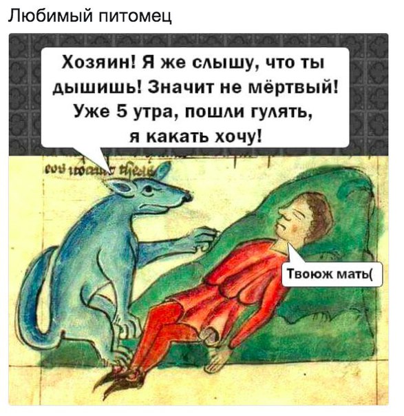 Пятничный абсурд и деградация приветствует вас!