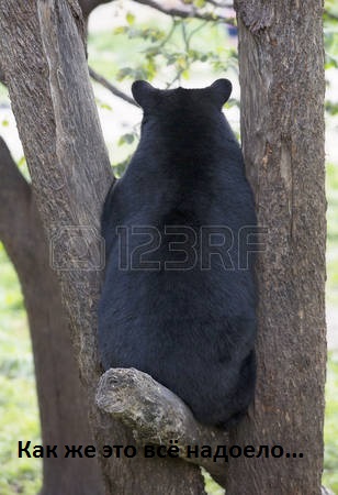 Школьница переспала с подростком и стала вымогать деньги, угрожая тюрьмой за изнасилование