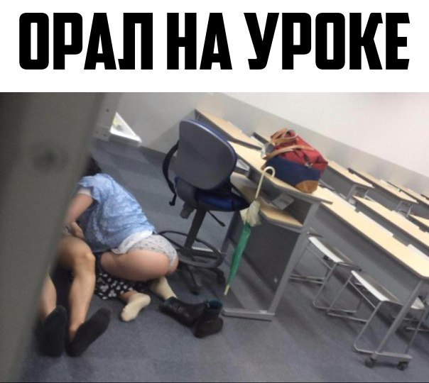 Скотсети и прочие интернеты 05.02.18