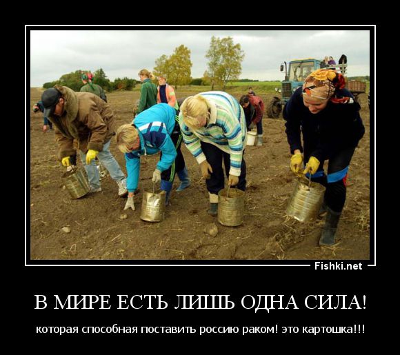 Начало дачного сезона, пора готовиться!