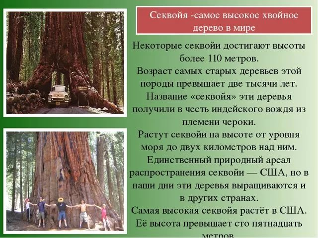 Снимки категории "Теперь ты видел всё" 30.03.2018