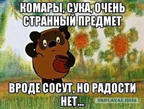 Точная классификация комаров!