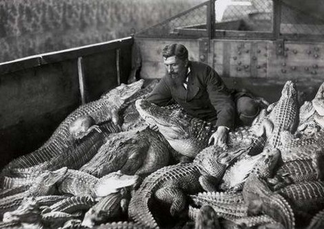 Немного исторических фотографий, пойманных в нужный момент