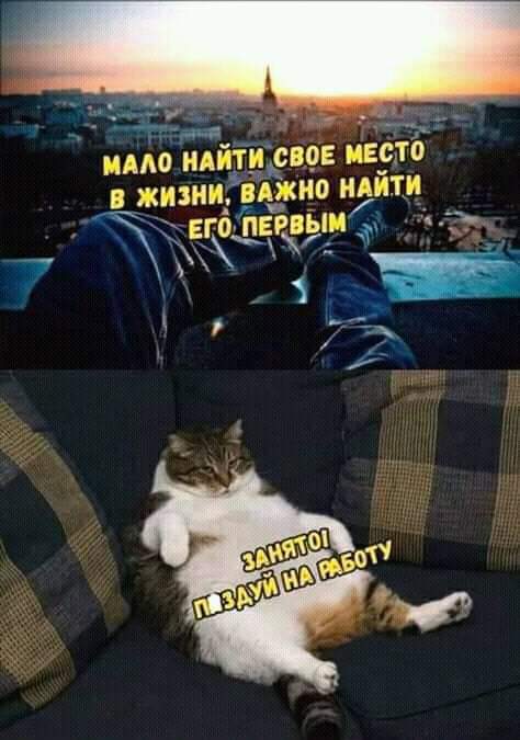 Картинки разные нужны, картинки всякие важны