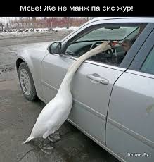 Импотенция становится главным недугом молодых мужчин