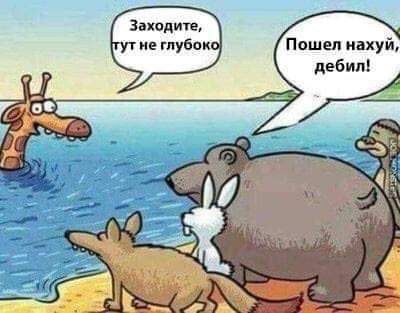 25 приколов для поднятия настроения