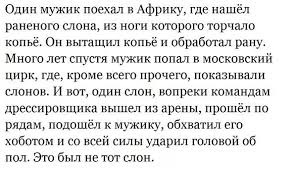 Португальский гонщик пожертвовал победой, чтобы не убить собаку