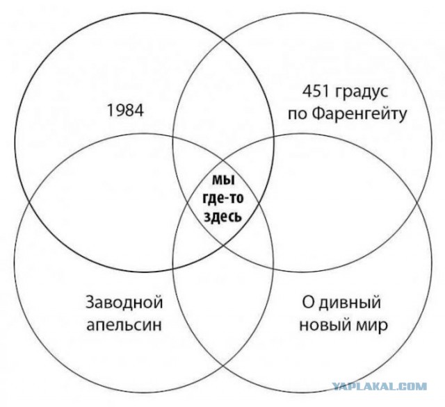 Немного картинок с надписями и без - 12.12.19