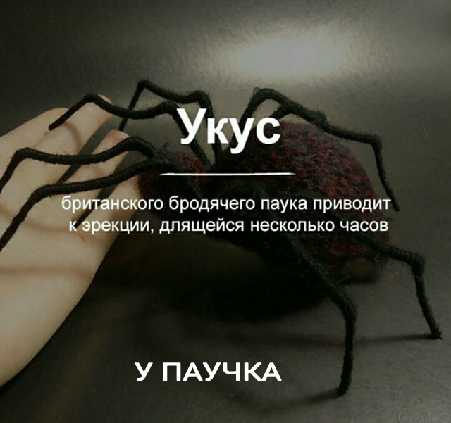 Немного картинок с надписями и без - 36