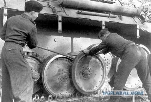 "Никто нас не создавал. Это тупой замысел"