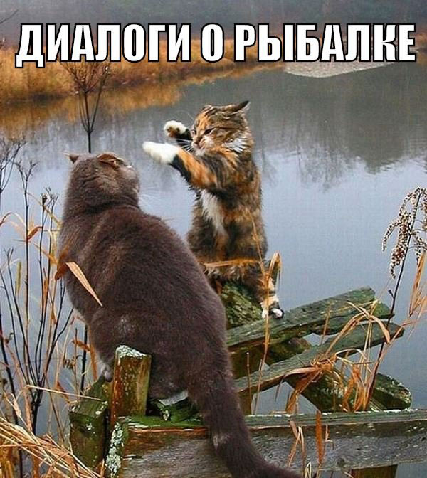 Прикольные и просто красивые картинки 10.04.2020