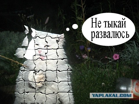 Отжабте моего кота