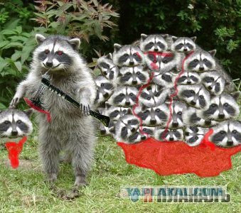 Разборки