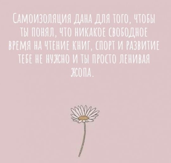 Так себе картинки 16.02.21